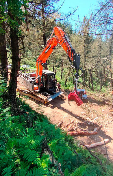 DOOSAN DX255NLC-5, IDEAL PARA TRABAJOS FORESTALES